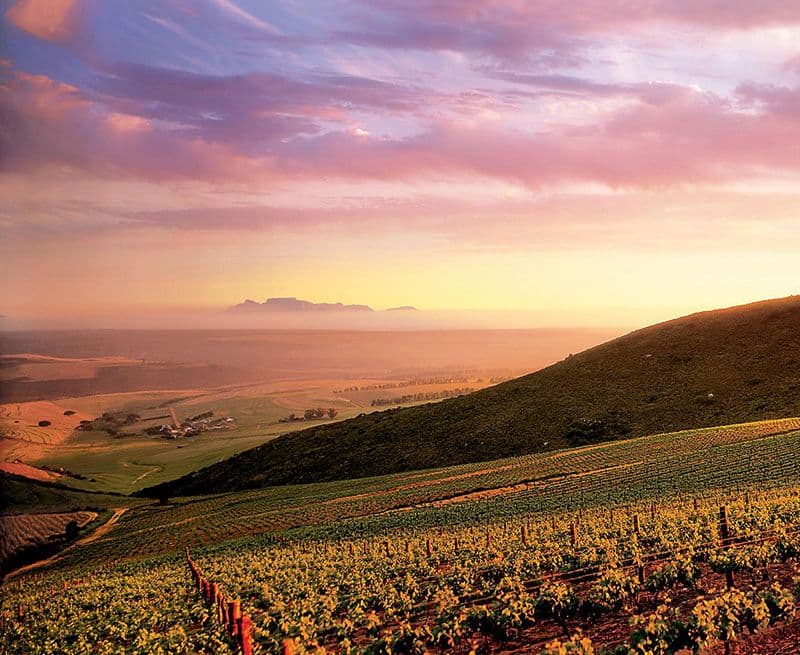 Wine Routes - Darling /Riebeeck/Swartland and West Coast region